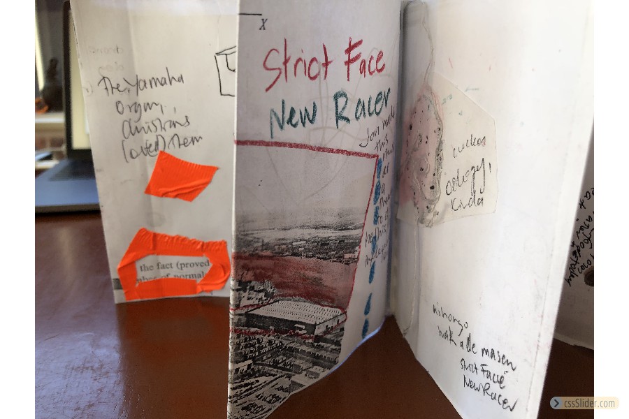 teri hoskin -strict face - xenoblood Xenzine workshop at ace open with sister gallery