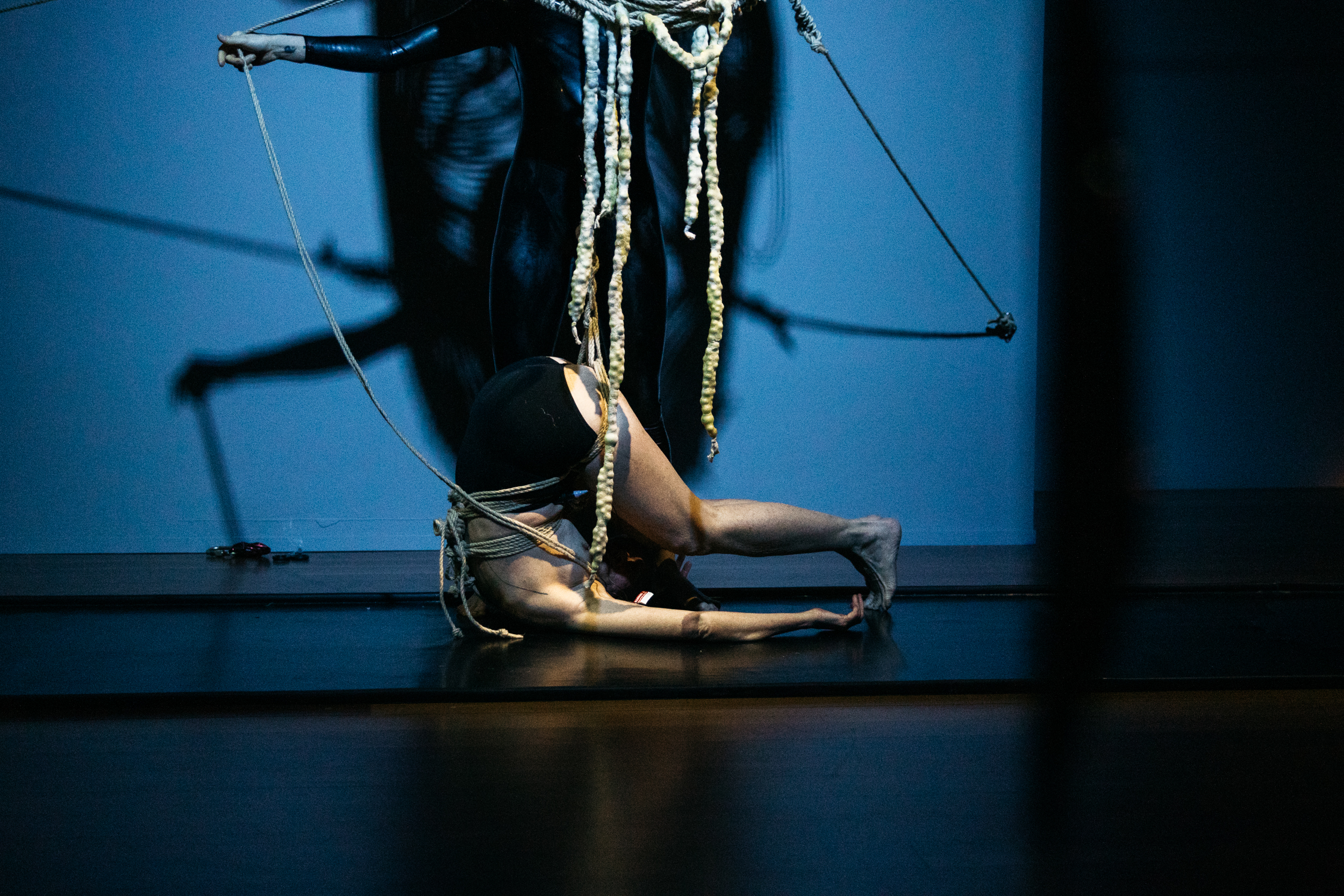 Exosmosis — performer on floor beneath rope pod, Samstag Museum of Art, 2022