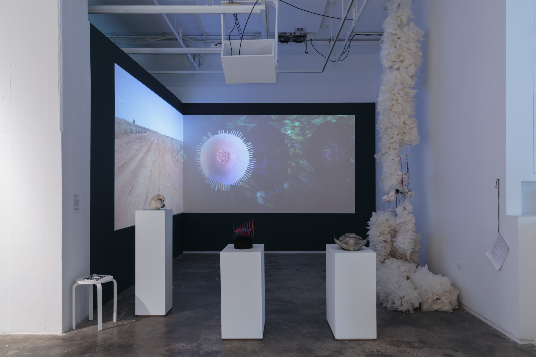 Her eyes were as black as coal — installation view, 205 Hudson Gallery, 2019
